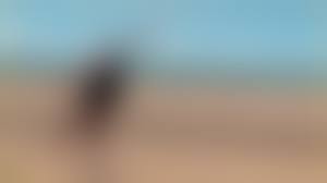 nude clothed beach|Wife playing nude football public clothed beach - XVIDEOS.COM