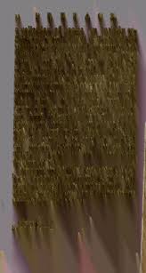  Mir hebe garl and boy clit -469|Diwane Bu Ali Qalandar