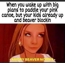 A collection i call overly sexual memes i didnt want to see tnd png x Sexual memes for her