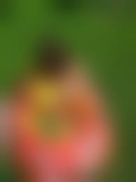 rajce.idnes.cz backyard 25|Penzion Pod Kopcem, Janov nad Nisou (updated prices 2025)