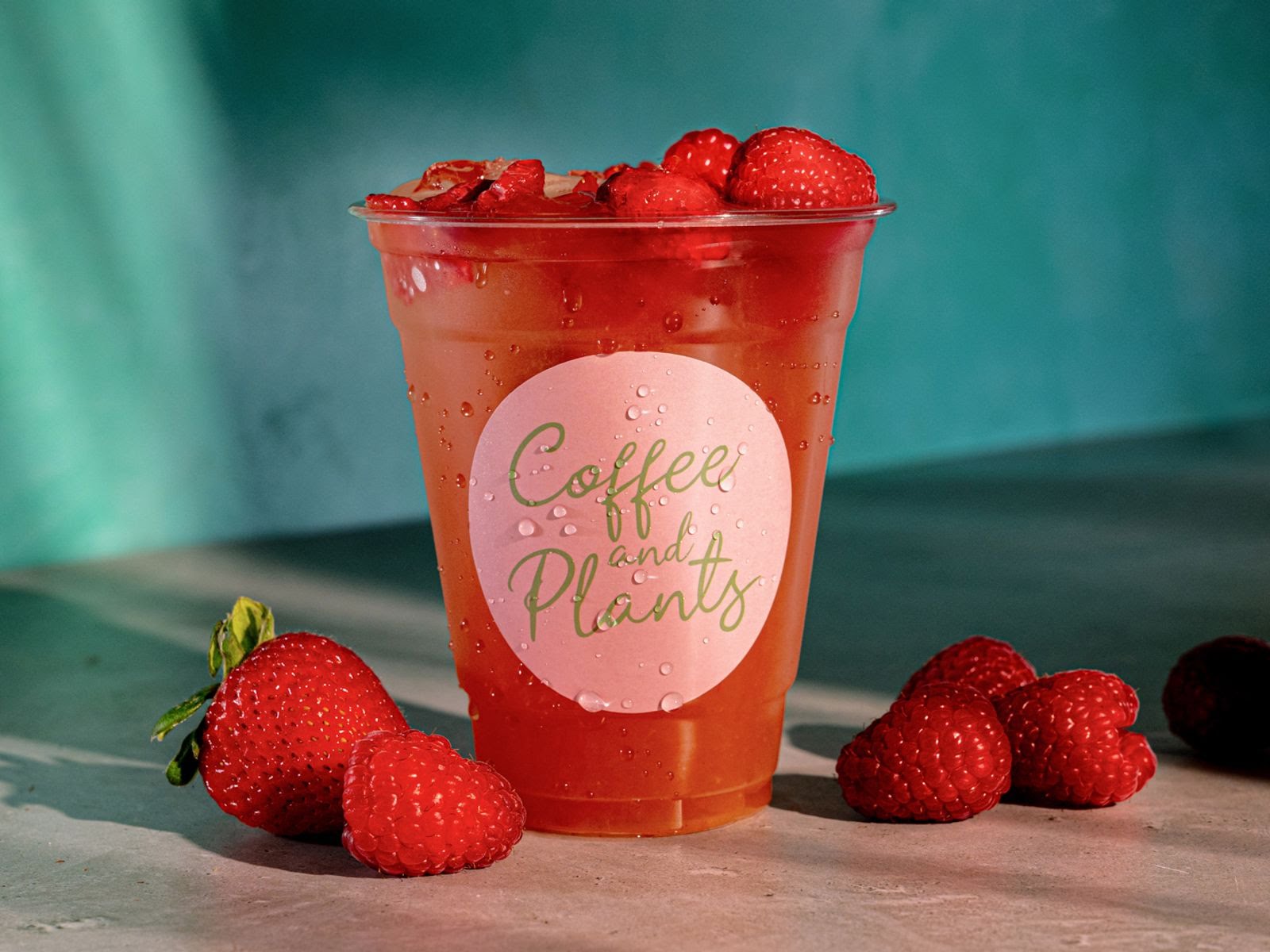 Coffee and Plants by null