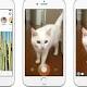 Instagram 'Stories' Is Just Another Way To Break The Law 