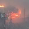 【ハワイ・マウイ島山火事】「火から逃れ海に飛び込む人も ...
