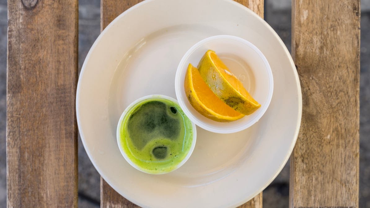 Bamboo Tropical by null