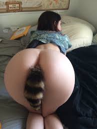 Foxtail porn videos jpg x Fox tail
