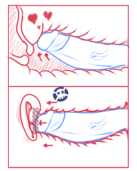 Cervix fucking jpg x Cervix fucking