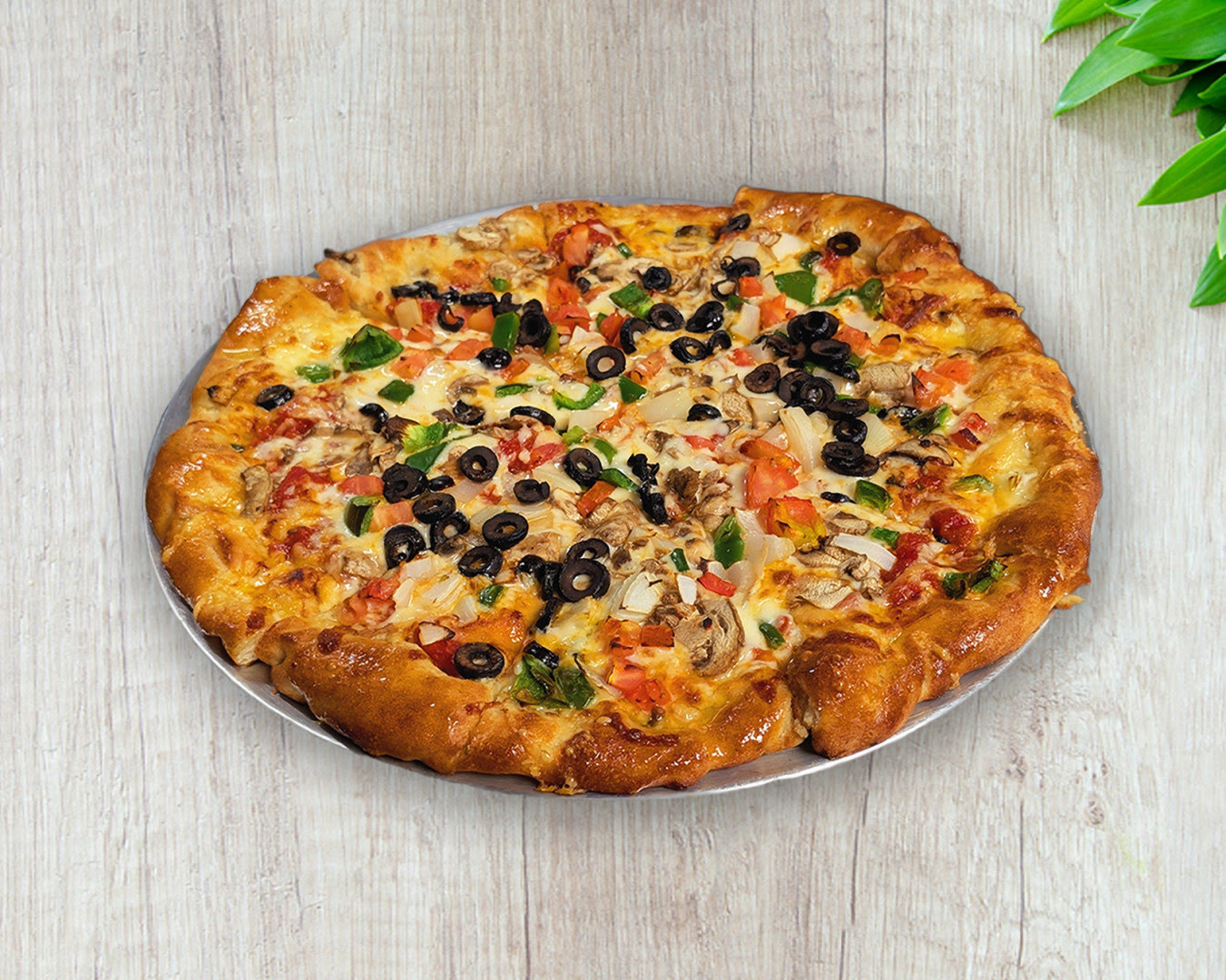 Shield's Restaurant Bar Pizzeria by null