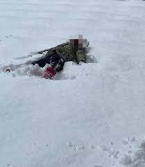 女性　大便　雪上|冬の田舎あるあるです😂🤍道がドロドロだと汚れやすいね〜😅 #犬動画#面白動画#犬のいる生活#トイプードル#ティーカッププードル#雪#冬... |  TikTok