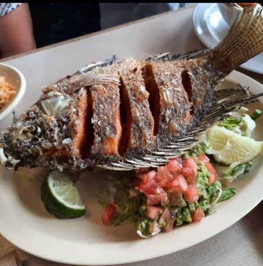 Vuelve a la Vida - Tacoma by null