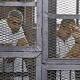 Peter Greste's brothers in Egypt prison visit as pardon hopes vanish