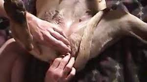 Man deep fucks dog in the pussy for restless pleasure jpg x Guy fucks dog pussy