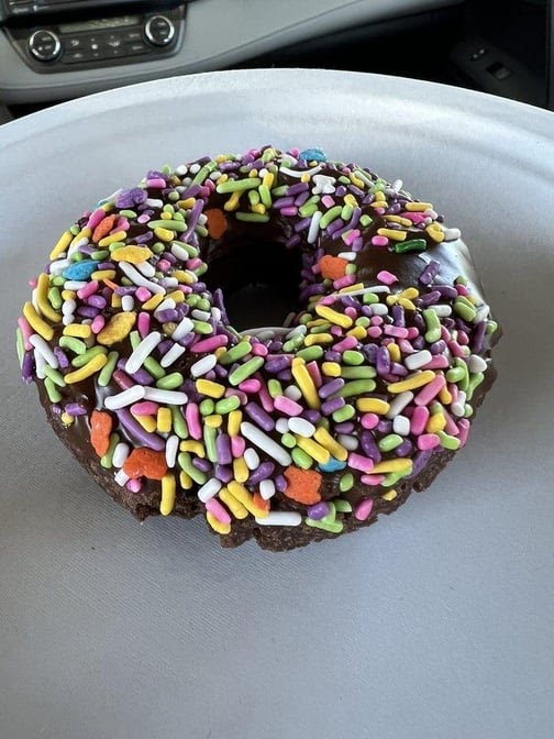 The Jelly Donut by null