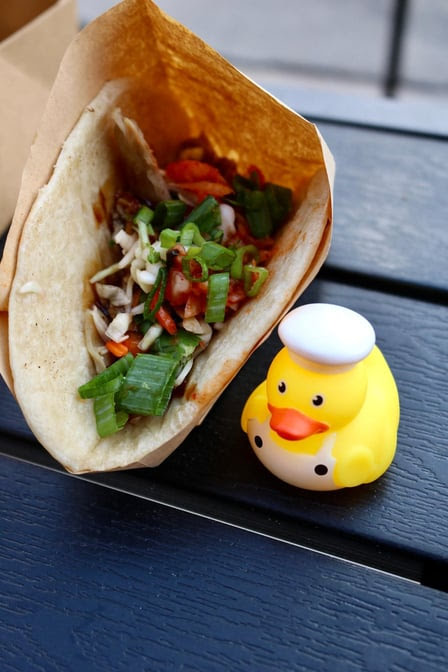 The Drunken Duck by null