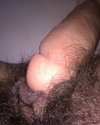 Hairy dildo solo jpg x Hairy dildo solo