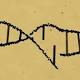 Chinese scientists use gene-editing techniques in humans for first time 