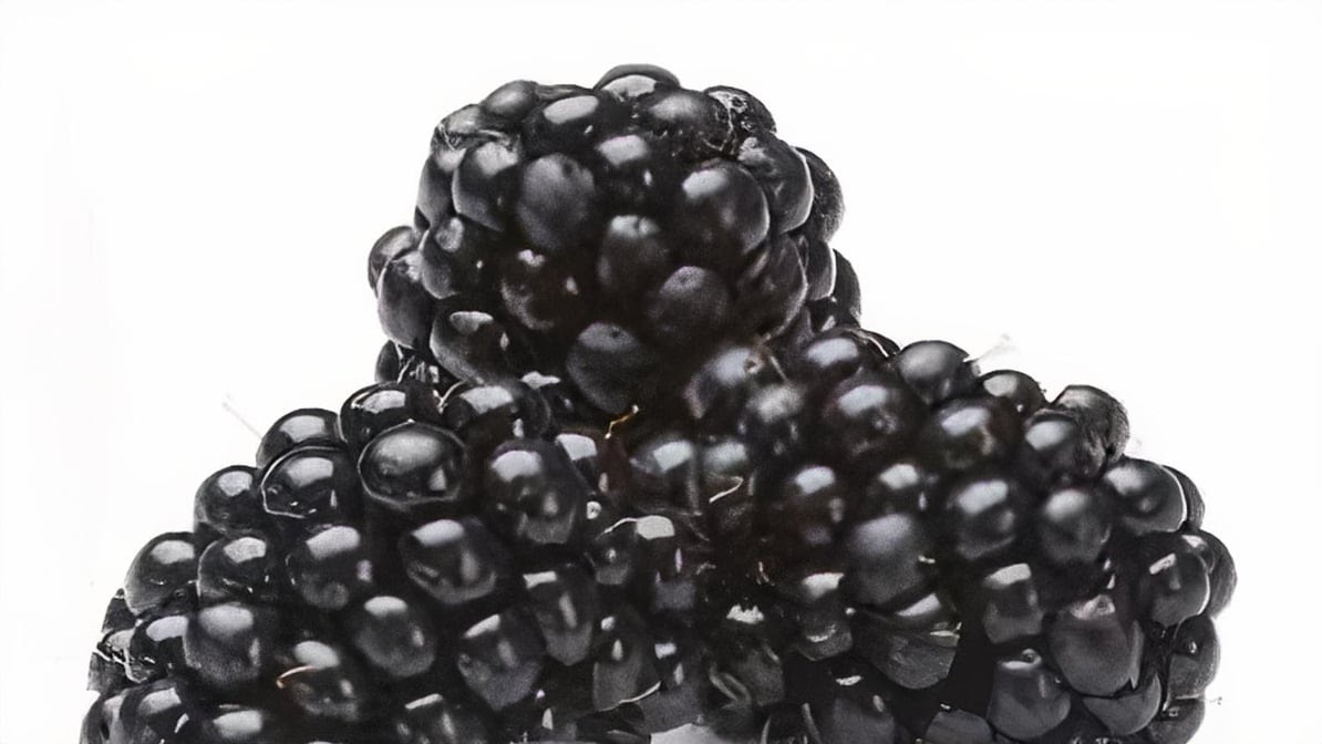 Bel-Clift Grocery by null