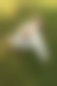 голые инвалиды|Голые инвалиды - 96 photo