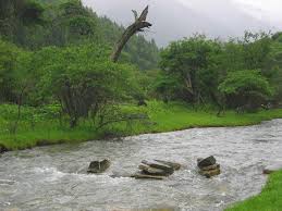 Sungai