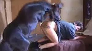 Big dick black pony fucking woman jpg x Pony fucks girl