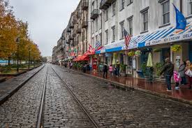 Savannah tourism