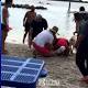 Bystander, Tampa fire rescue crew resuscitate drowning dog... | www.wpxi.com 