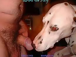 Man fucking dog php x Man fucking dog