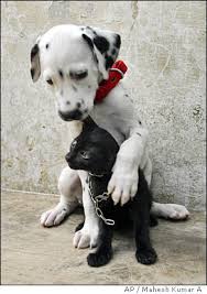 images?q=tbn:ANd9GcSNkuBKep2_q1qlep-IHu5tDMq_DGqJ8Kb_QVWGQFh-xob-okqwSA