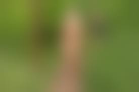 main.imgclick.net  nude |Main Nude Imgclick Net 484 | Hot Sex Picture