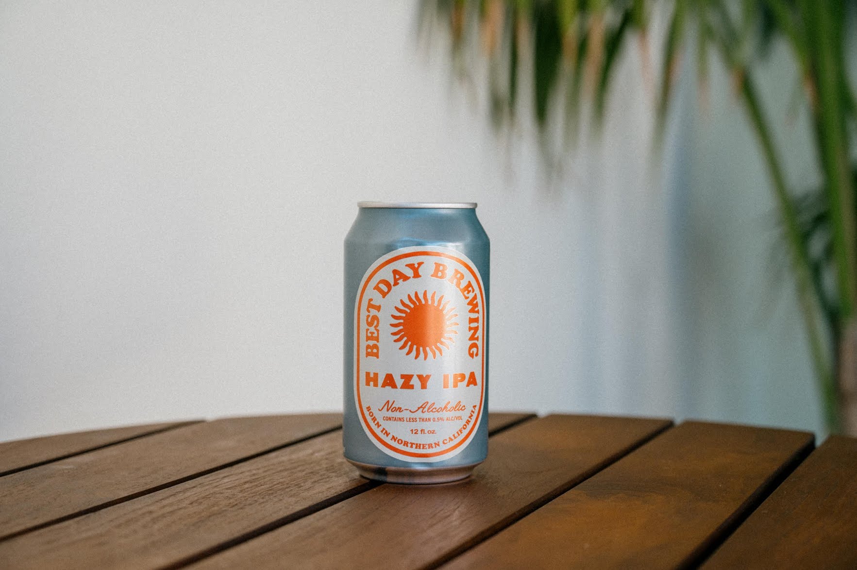 Casa Loma Beach Hotel by null