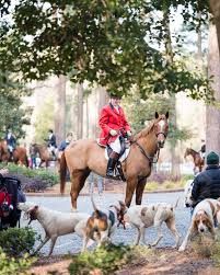 Riding on dog the pines|Pointers in the Pines