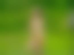 shiori suwano Naked Photo|Showing Xxx Images For Shiori Suwano Rika Xxx Pornsink Comsexiezpix Web Porn