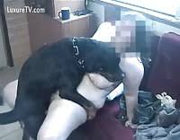 Dawns got fucked a dog png x Woman fucked by dog