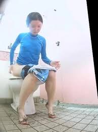 Japanese toilet voyeur jpg x Japanese toilet voyeur