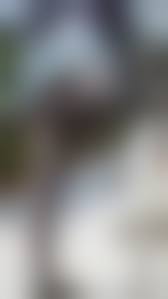 濃い黒タイツ脚エロ画像|光沢のある黒タイツを直穿きしてM字開脚をしている女性の画像 | ImitationSkin – パンスト直穿きフェチの復活