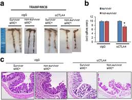 kim hee ae fake nude|Behind Every Star (TV Series 2022) - Full cast & crew - IMDb