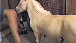 Girls fucking with active horse jpg x Girls fucking horses