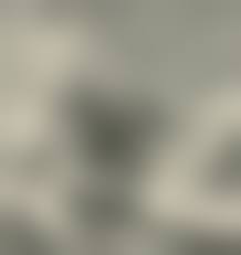  vintage teen nudist hairy|3,032 Vintage Beauty Pageant Stock Photos, High-Res Pictures, and Images -  Getty Images