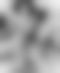 1940s-vintage-japanese porn