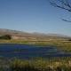Pahranagat Valley waters continue to attract visitors - Las Vegas Review-Journal (blog)