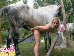 Women horse jpg x Women horse