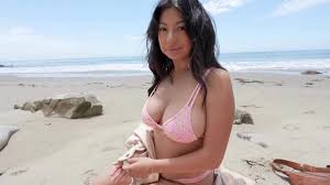Seasonal holidays jpg x Asian nude beach