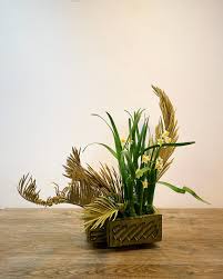 japanese junior high school pussy pics|Gena Rowlands Refused to Play the Traditional Woman - The New York Times