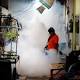 Thailand investigates four cases of suspected Zika-linked microcephaly 