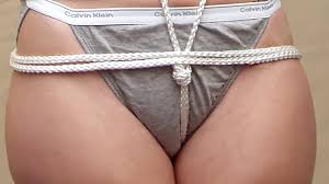 股绳缚|股绳缚- Wikiwand