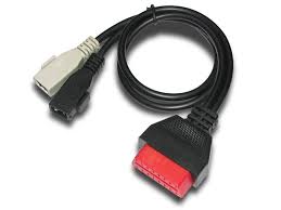 images?q=tbn:ANd9GcSVPsNiSstGELzQFghjT_VP4sovOkB_uzzskfWGZlduzhzUN2uZ
