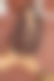 shemale Longmint|OnlyFans.com/ji' . 2U j * *\1 y\*;fa i / jWfimr-2 m&iM+L-irt- # 1 r;-I fi *  ;- itfe4;' -;.-gyr ' / Jasmine Longmint :: LongMint :: Shemale big cock ::  shemale photo ::