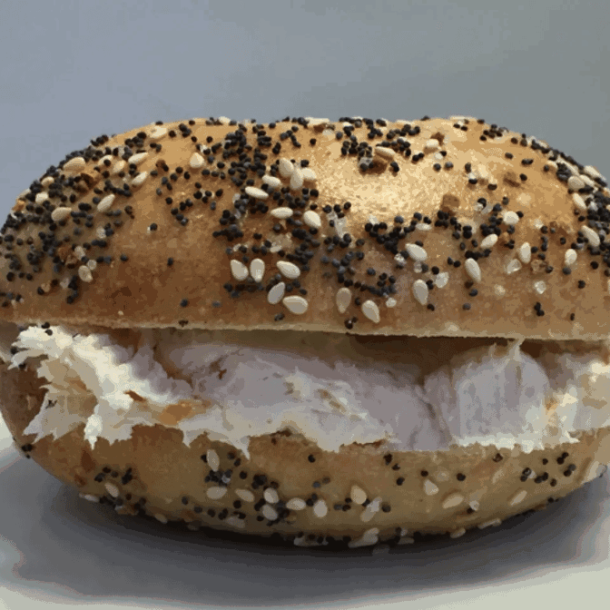 The Bagel Project by null