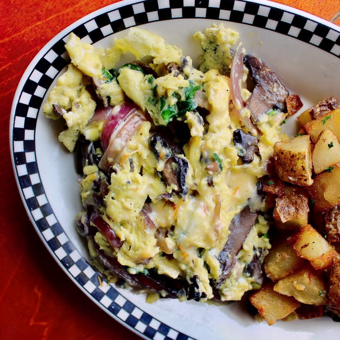 The Fly Trap a Finer Diner by null