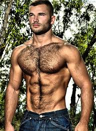 Gay hairy hunk jpg x Gay hairy hunk