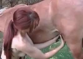 Man fucks mare in the tight anal hole jpg x Mare fucking